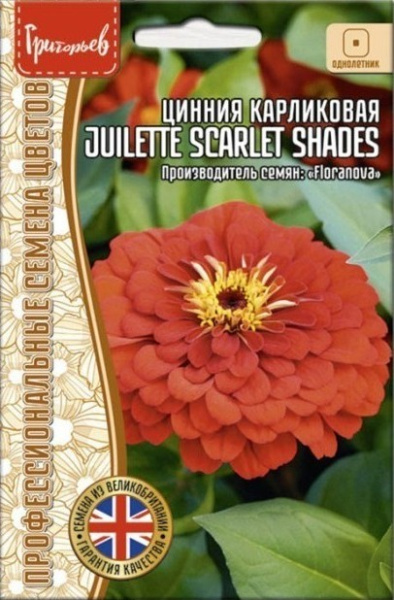Цинния Juilette Scarlet Shades карликовая однолетник 5шт (Ред.сем)
