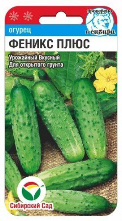 Огурец Феникс плюс 7шт (Сиб Сад)