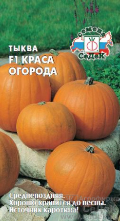 Тыква Краса огорода F1 1г (Седек)