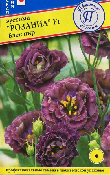 Эустома Розанна Блек Пир F1 3др (Престиж)