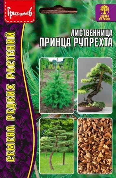 Лиственница Принца Рупрехта 15шт (Ред.Сем)