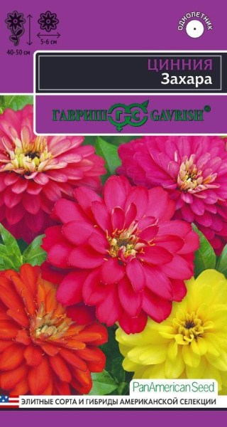 Цинния Захара смесь однолетник 5шт (Гавриш)