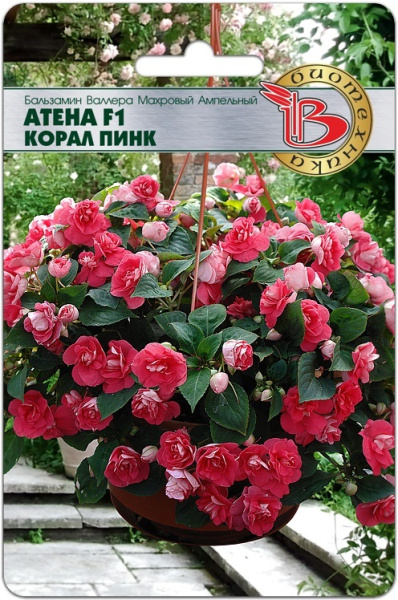 Бальзамин Валлера махровый Атена F1 Корал Пинк однолетник 8шт (Биотехника)