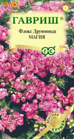 Флокс Друм магия Элитная клумба 8шт (Гавриш)
