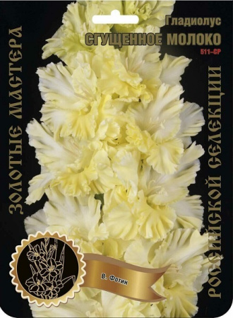 Гладиолус Сгущенное Молоко 513,Фотин Экстра 7шт (Ф)