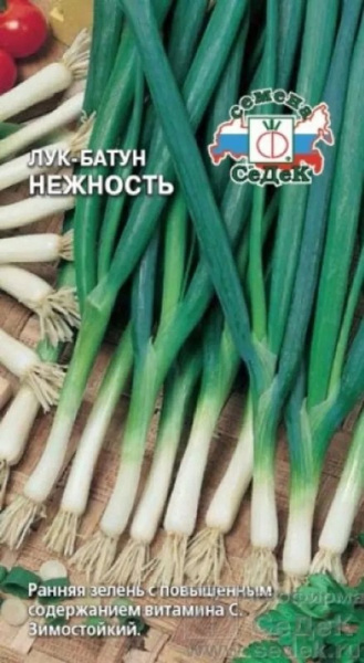 Лук Батун Нежность 1г (Седек)