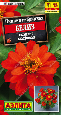 Цинния Дикобраз смесь 0,3г (Аэлита)