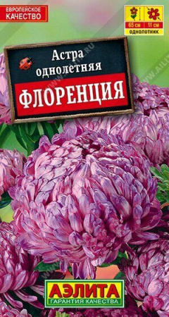 Астра Флоренция (Аэлита)