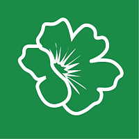 Настурция Настурция