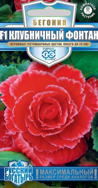 Бегония Клубничный фонтан клубневая Русский богатырь 4шт (Гавриш) Бегония Клубничный фонтан клубневая Русский богатырь 4шт (Гавриш)