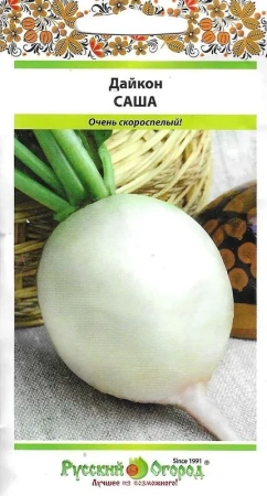 Дайкон Саша 1г (НК)