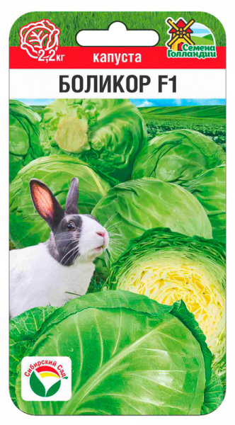 Капуста белокочанная Боликор F 10шт (Сиб сад)
