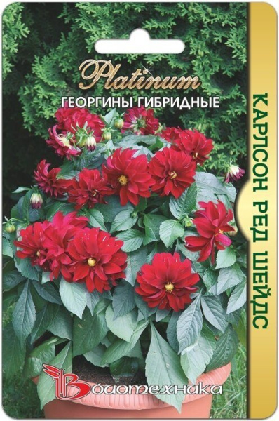 Георгина Карлсон Ред Шейдс 10шт (Биотехника) Георгина Карлсон Ред Шейдс 10шт (Биотехника)