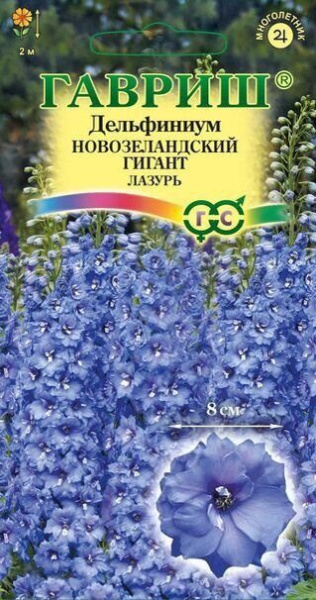 Дельфиниум Новозеландский Гигант Лазурь многолетник 3шт (Гавриш)