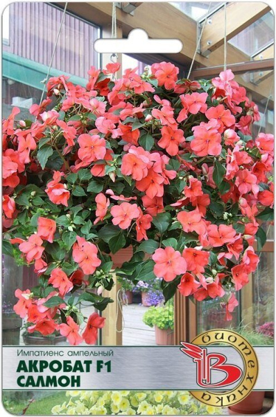 Импатиенс (бальзамин) Акробат F1 Салмон однолетник 8шт (Биотехника)