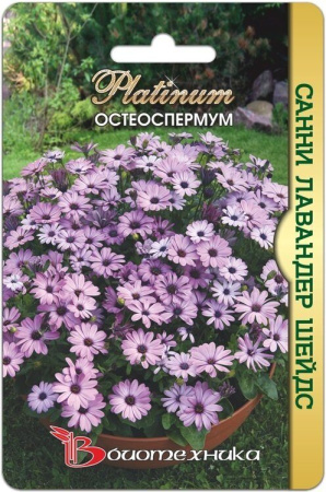 Остеоспермум САННИ Лавандер Шейдс цветы 5шт (Биотехника)