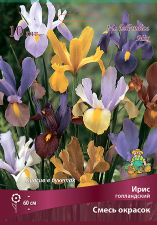 Ирис Голландский Смесь 6/7 10шт (Поиск)