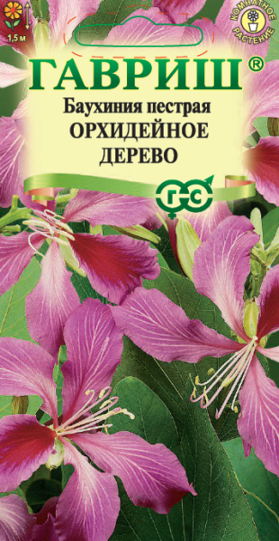 Баухиния Орхидейное дерево пестрая 3шт (Гавриш) Баухиния Орхидейное дерево пестрая 3шт (Гавриш)