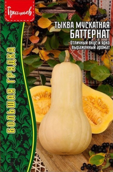 Тыква Баттернат мускатная Большая грядка 5шт (Ред.Сем) Тыква Баттернат мускатная Большая грядка 5шт (Ред.Сем)