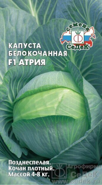 Капуста белокочанная Атрия F1 10шт (Седек)