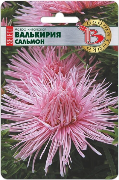 Астра ВАЛЬКИРИЯ Селект Сальмон 30шт (Биотехника)