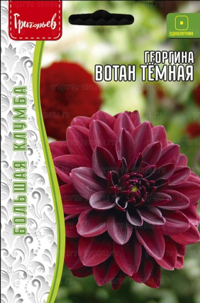 Георгина Вотан Темная большая клумба 15шт (Ред.Сем)