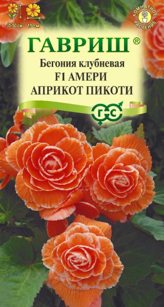 Бегония Амери априкот пикоти F1 клубневая 4шт (Гавриш) Бегония Амери априкот пикоти F1 клубневая 4шт (Гавриш)