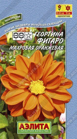 Георгина Фигаро оранжевая махровая 7шт (Аэлита)