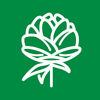 Пионы Пионы