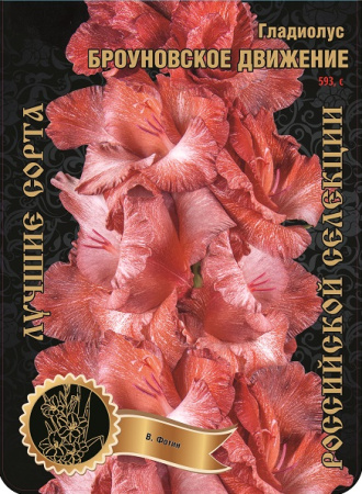 Гладиолус Броуновское Движение 593,Фотин Экстра 7шт (Ф)