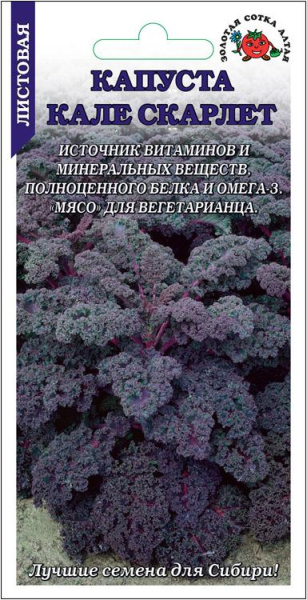 Капуста листовая Кале Скарлет 0,3г (Золотая Сотка)