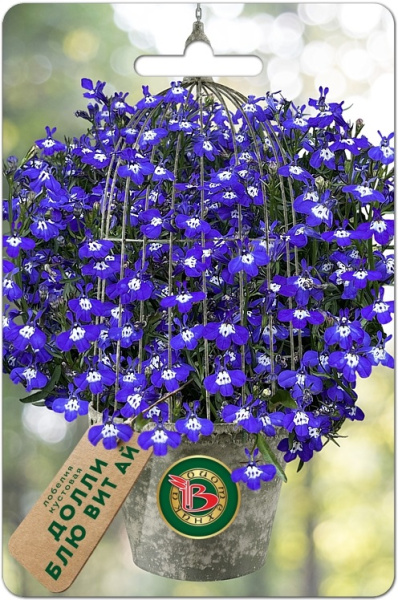 Лобелия Долли Блю вит Ай кустовая однолетник 10шт (Биотехника)