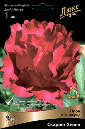 Пион Скарлет Хевен (ИТО) 2/3 1шт (Поиск)
