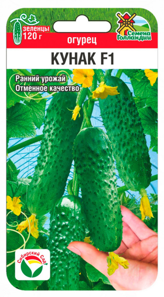 Огурец Кунак F1 5шт (Сиб Сад)
