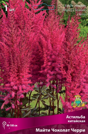 Астильба Майти Чоколат Черри 1шт (Поиск)