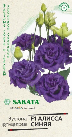    F1 SAKATA 4 ()