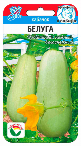Кабачок Белуга 5шт (Сиб Сад)