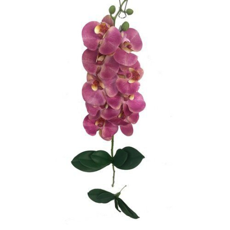 Орхидея листья 15см (СС)