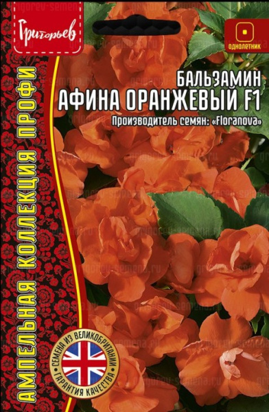 Бальзамин Афина F1 Оранжевый ампельный однолетник 4шт (Ред.Сем)