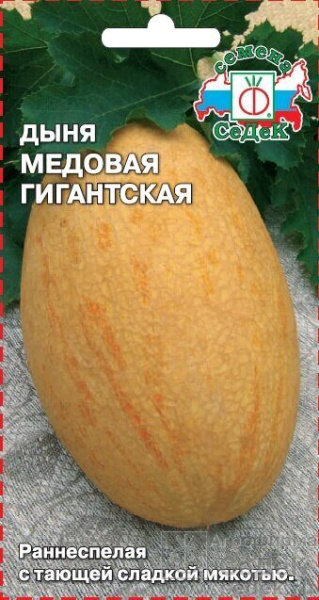 Дыня Медовая гигантская раннеспелая 0,5г (Седек) Дыня Медовая гигантская раннеспелая 0,5г (Седек)