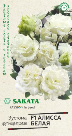    F1 SAKATA 4 ()