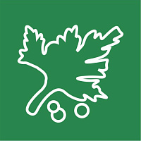 Кориандр/Кинза