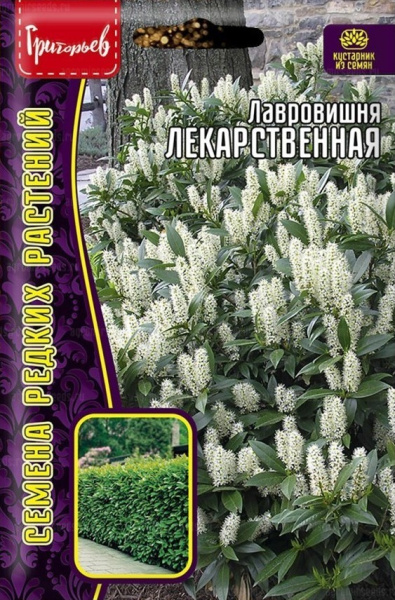 Лавровишня Лекарственная 3 шт (Ред.Сем)