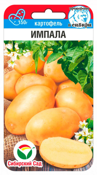 Картофель Импала 12шт (Сиб Сад)