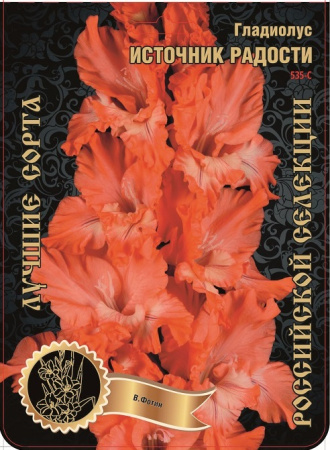 Гладиолус Источник Радости 535,Фотин Экстра 7шт (Ф)
