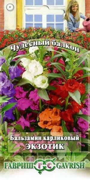 Бальзамин Экзотик карликовый 0,1г (Гавриш)