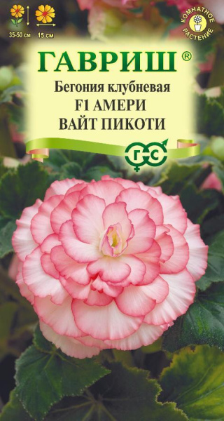 Бегония Амери вайт пикоти F1 клубневая 4шт (Гавриш) Бегония Амери вайт пикоти F1 клубневая 4шт (Гавриш)