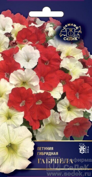 Петуния Габриела F1 многоцветковая 5шт (Седек)