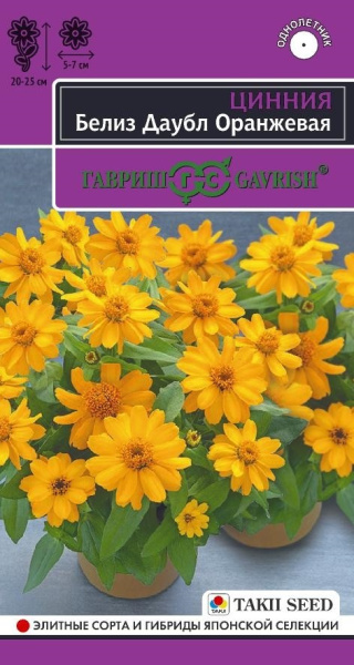 Цинния Белиз даубл оранжевая эксклюзив 5шт (Гавриш)