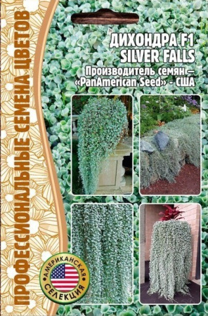 Дихондра Silver Falls F1 однолетник 3шт (Ред.Сем)